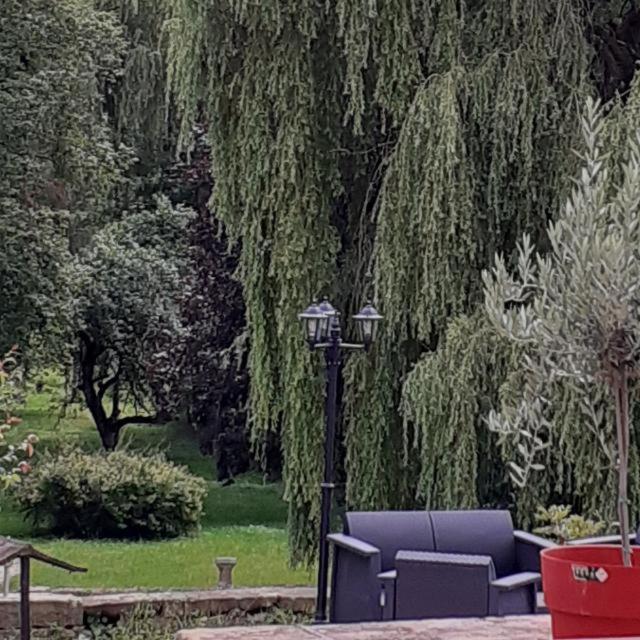 Le Domaine D'Elise Chambres Et Table D'Hotes - Vosges Saint-Ouen-les-Parey Exterior foto