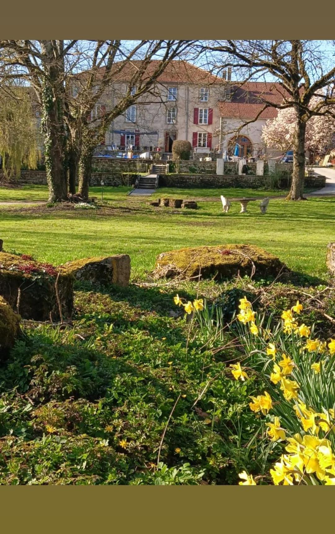 Le Domaine D'Elise Chambres Et Table D'Hotes - Vosges Saint-Ouen-les-Parey Exterior foto